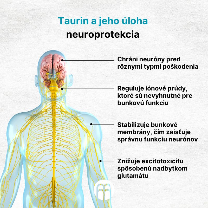 (Slovenčina) Taurin a jeho úloha neuroprotekce 